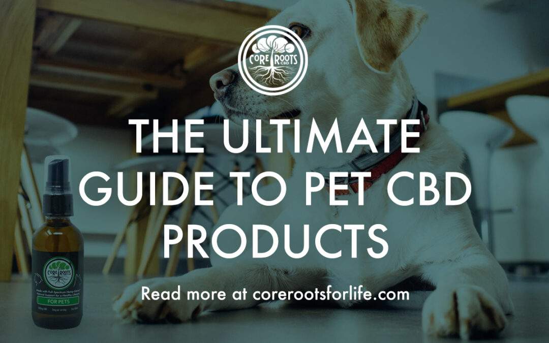 The Ultimate Guide to Pet CBD Products