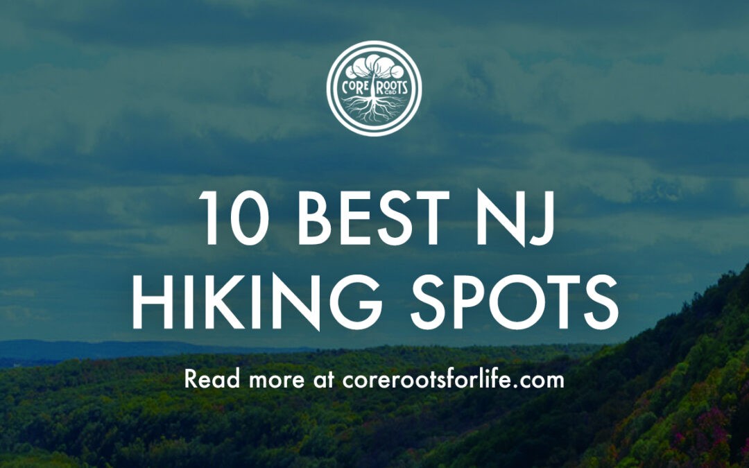 The 10 Best New Jersey Hiking Spots (And How To Recover The Day After)