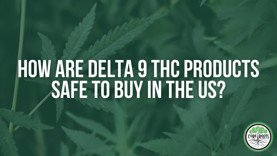 How are Delta 9 THC Products Safe to Buy in the US?