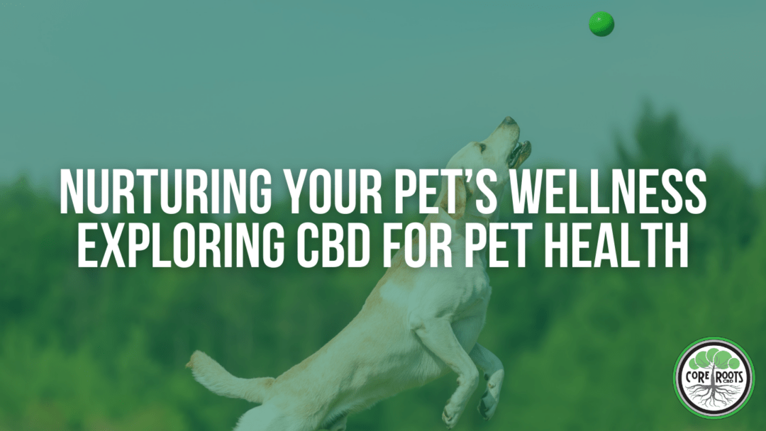 Nurturing Your Pet’s Wellness: Exploring CBD for Pet Health